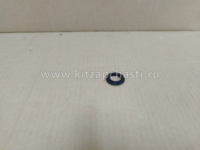 Кольцо уплотнительное резиновое JAC T6 10-00-044-012