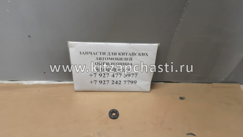 САЛЬНИК БАЛАНСИРОВОЧНОГО ВАЛА Haval F7x 1002500XEC01
