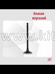 Клапан впускной МОСКВИЧ 6 1003012GG010