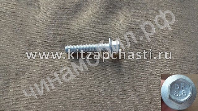 Шайба болта головки блока цилиндров HAVAL F7x 2pect 1003012XEN01