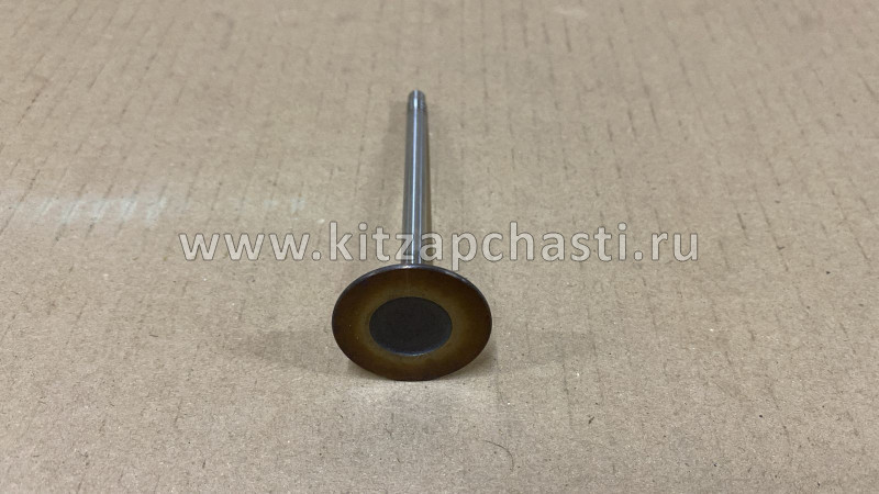 Клапан впускной  GAC GN8 10060182040000