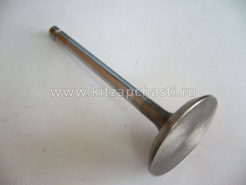 Клапан впускной  HAVAL H7 1007011AEN01