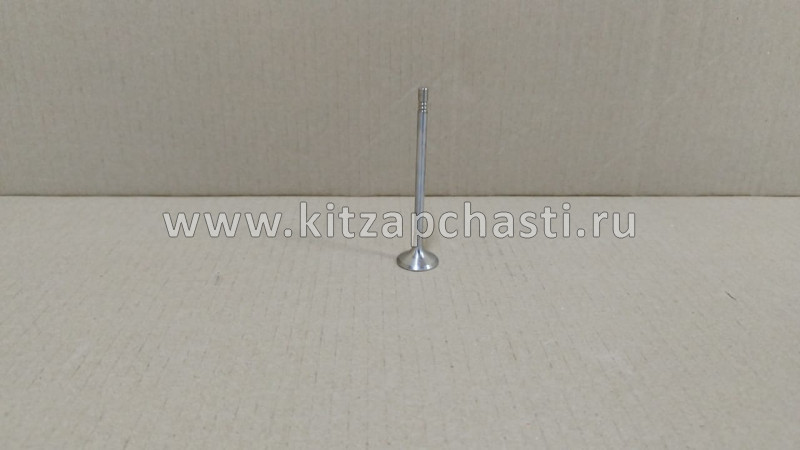 Выпускной клапан Hongqi H5 1007012-27L