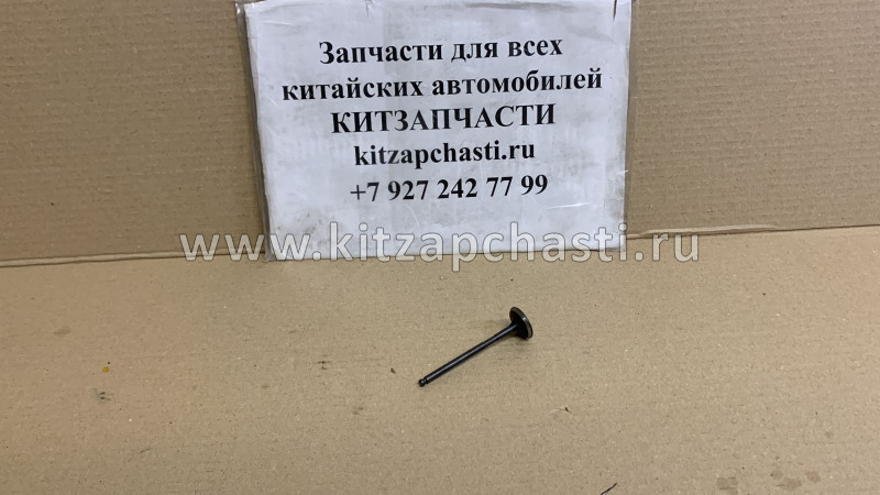 КЛАПАН ВЫПУСКНОЙ HAVAL H3 1007012-EG01