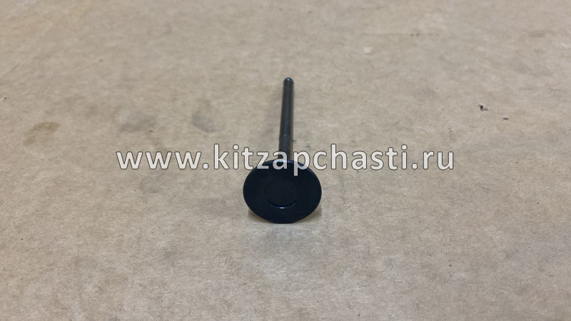 Клапан выпускной Haval H3 1007012XEG09