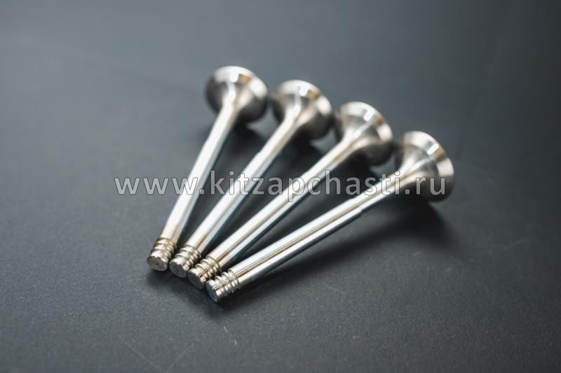 Клапан выпускной HAVAL H7 1007012XEN01