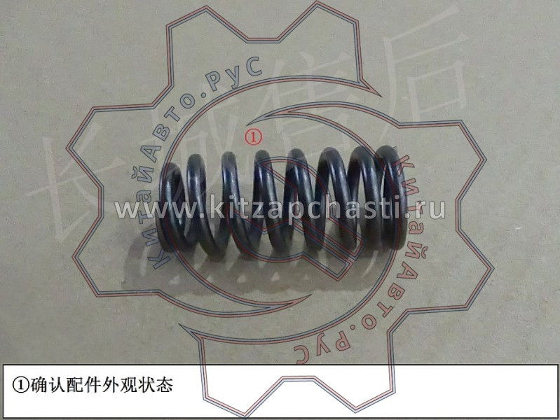 Пружина клапана HAVAL Jolion 2024 1007016XEB03