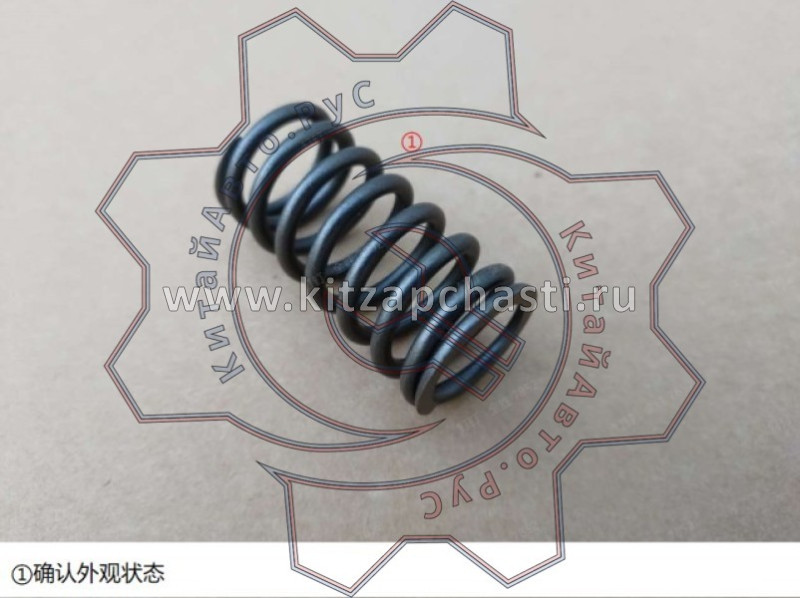 Пружина клапанная Haval H3 1007018XEG01H