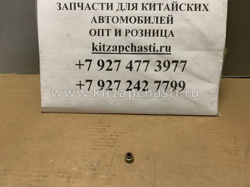 КОЛПАЧОК МАСЛОСЪЕМНЫЙ HAVAL H3 1007100-EG01