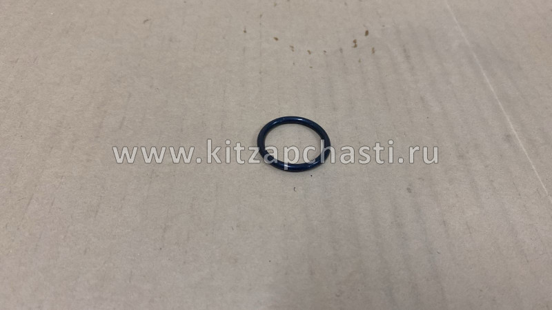 КОЛЬЦО УПЛОТНИТЕЛЬНОЕ Geely Emgrand 1.5L 1016050728