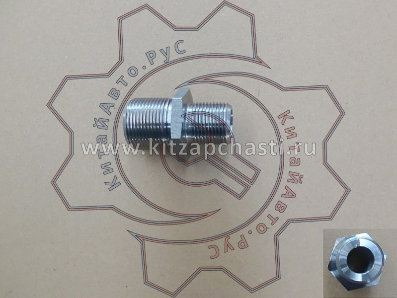 Переходник резьбовой HAVAL Jolion 2024 1017014XEB02