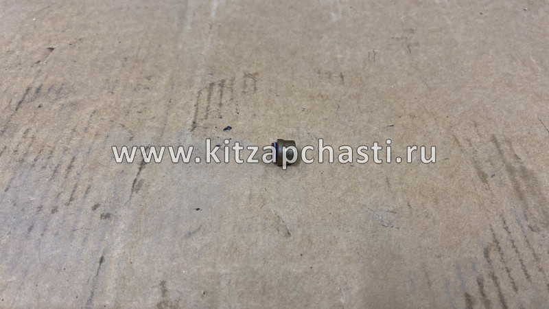 КОЛПАЧОК МАСЛОСЪЕМНЫЙ ВЫПУСКНОГО КЛАПАНА ДВИГАТЕЛЯ GEELY MONJARO KX11 1030022100