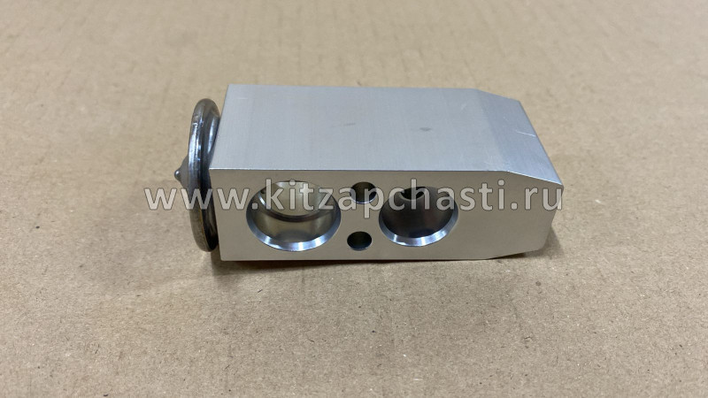 КЛАПАН РАСШИРИТЕЛЬНЫЙ Geely Emgrand 1061001244