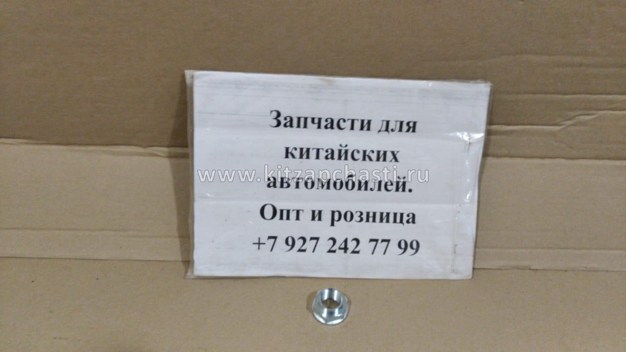 Гайка ступицы Geely Emgrand 1064000083