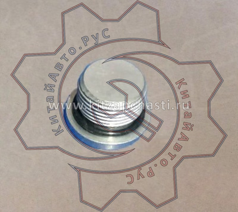 Пробка сливная Haval H3 170010492
