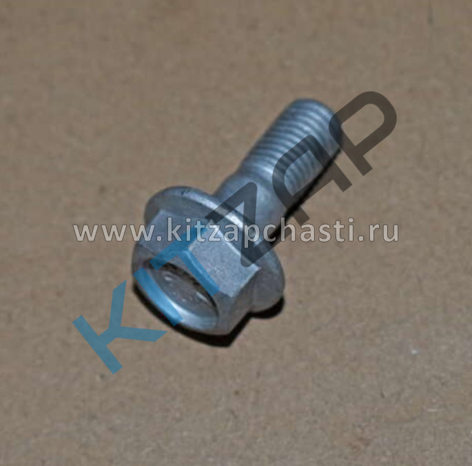 Болт крепления скобы суппорта к кулаку TENET T8 204001521AA