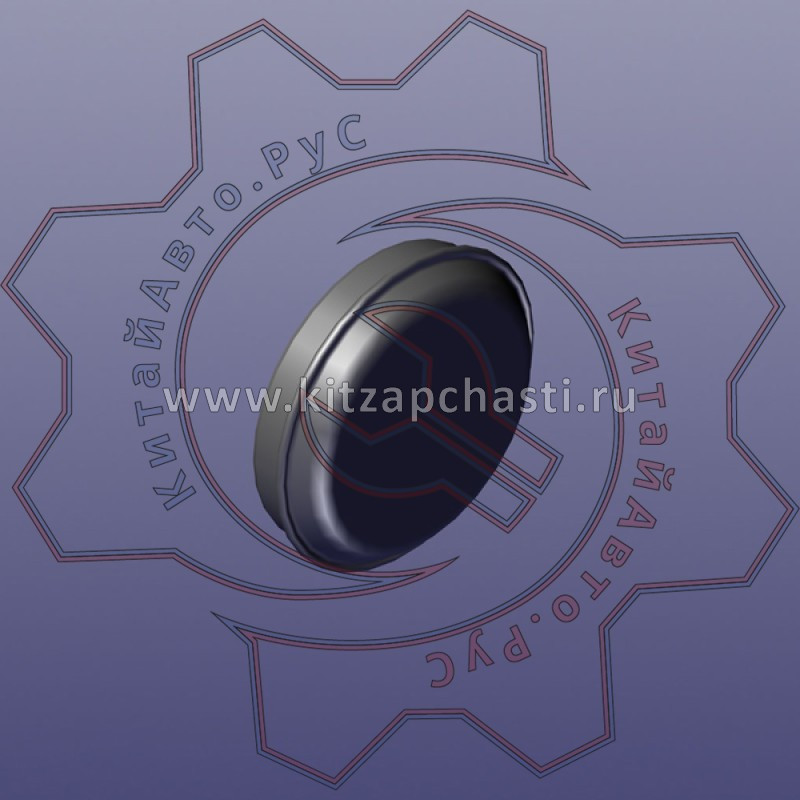 Крышка ступицы торцевая Jetour X50 23B02A004
