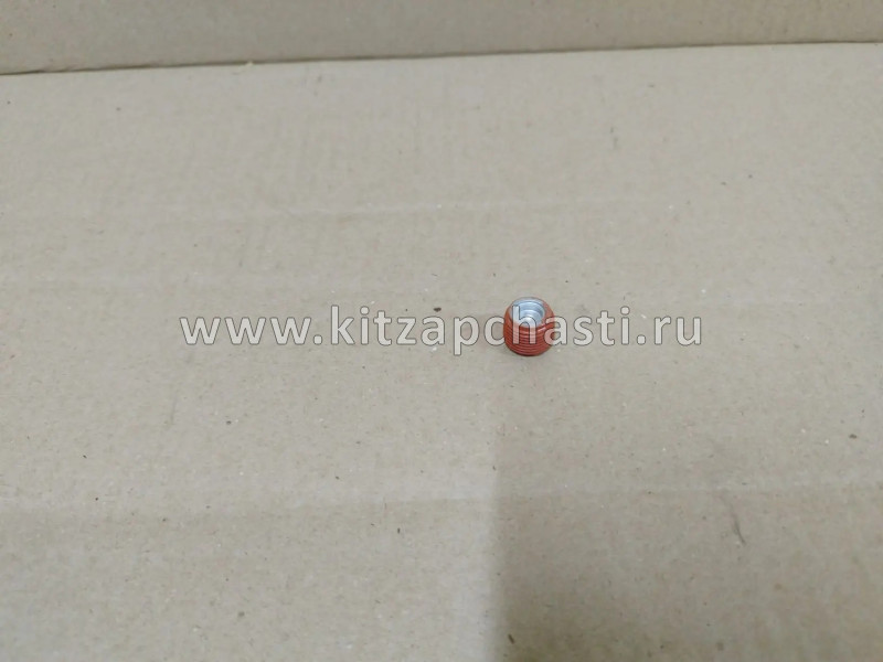 Пробка заливная HAVAL H7  2402413XGW02A