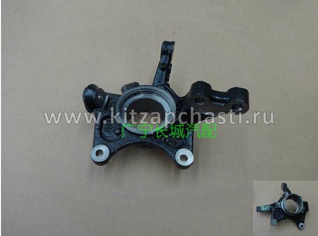 Кулак поворотный задний левый HAVAL F7x 3301310XKY00A