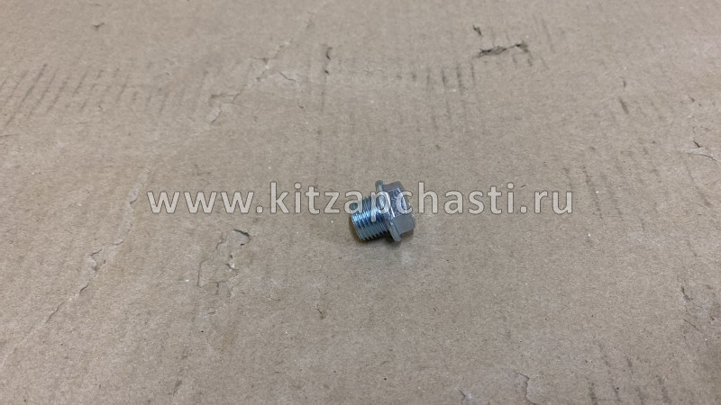 Пробка поддона Chery Tiggo FL , Vortex Tingo FL481H-1002042