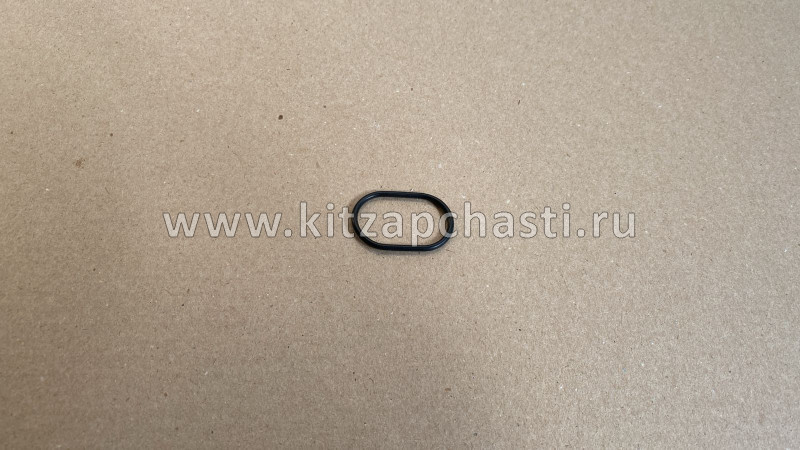 ПРОКЛАДКА КАНАЛА МАСЛЯННОГО ОВАЛЬНАЯ Xcite X-Cross 8 481H-1009022