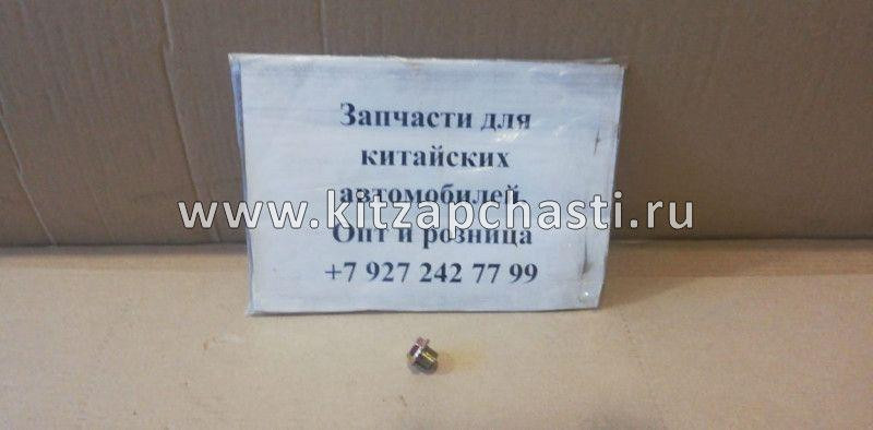 Сливная пробка поддона ДВС Jetour T2 481H1002042
