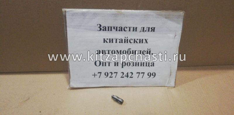 Толкатель клапана гидравлический Jetour T2 481H1007040AB