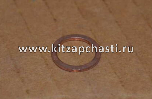 Сальник SOUEAST S07 484J1014038