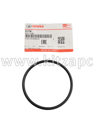 Кольцо уплотнительное масляного фильтра 4dd HAVAL H7 5305180XKN04A