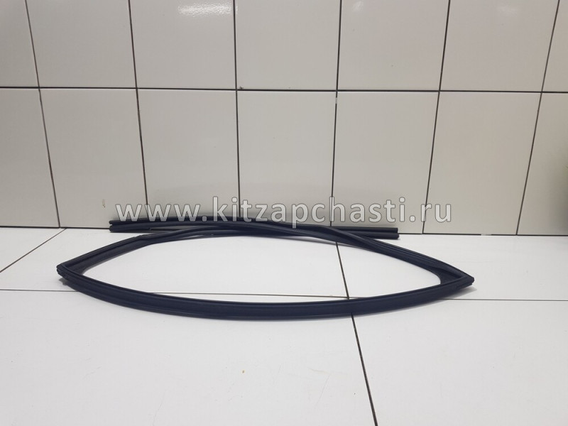 Уплотнитель стекла двери задней левой TENET T8 554000083AA