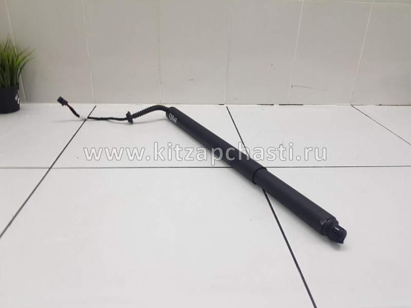 Шпиндель двери задней 5-й TENET T8 554000582AB