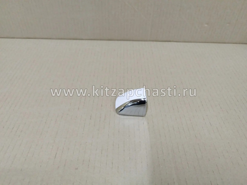 Накладка наружной ручки открывания двери  передней левой TANK 500 6105313XKV3BA