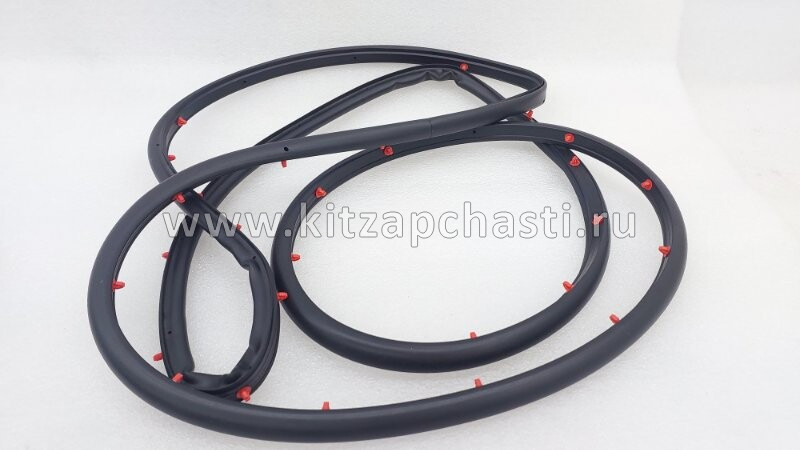 Уплотнитель двери передней правой HAVAL Jolion 2024 6107400XST01A