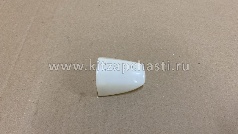 Накладка наружной ручки открывания двери 1 задней правой двери  JAC JS6 6205280S5500