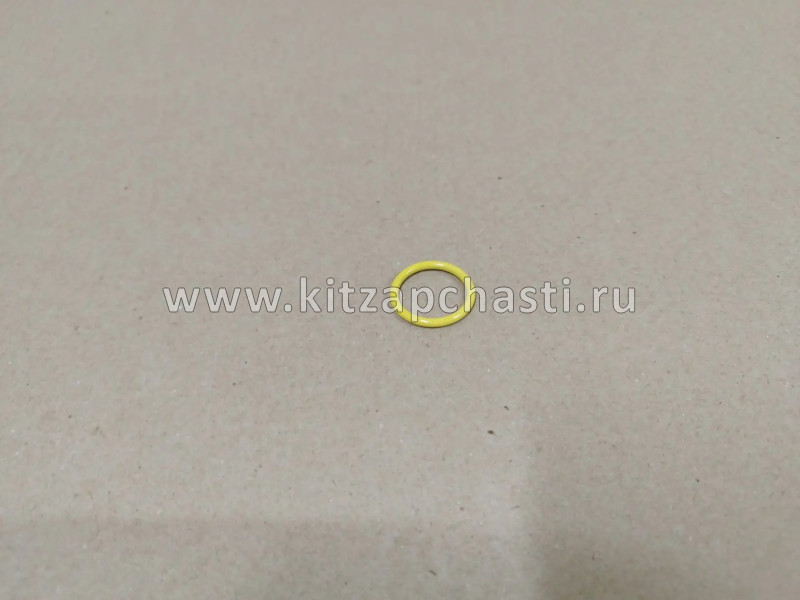 Уплотнительное кольцо 24*3 Belgee X50+ 8013009000