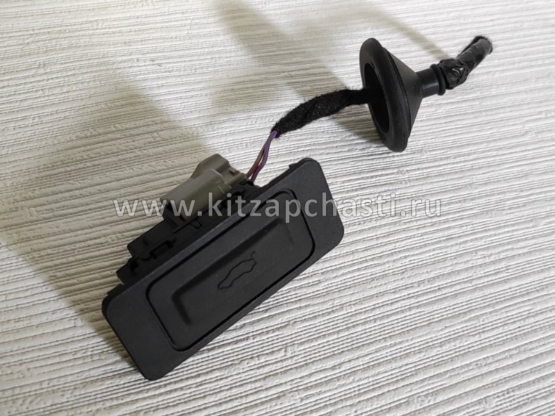 Кнопка открывания двери задка багажника Chery Arrizo 8 808000530AA