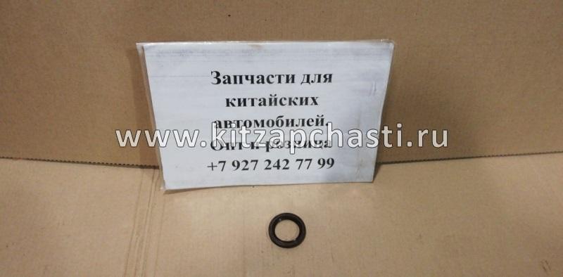 Сальник распредвала Geely GC6 E010130010
