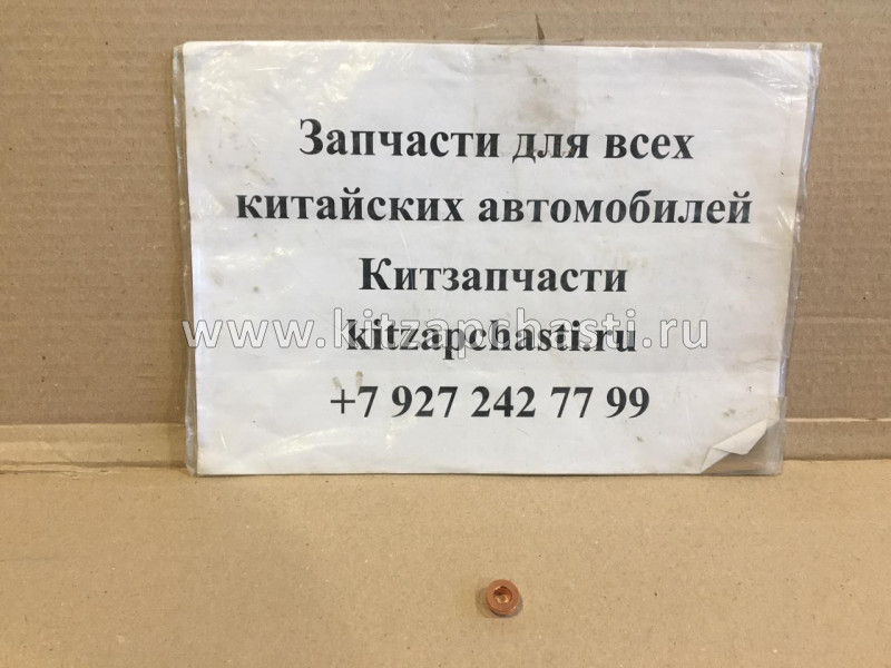 Шайба форсунки Foton 1039 комплект 4 шт E049332000003