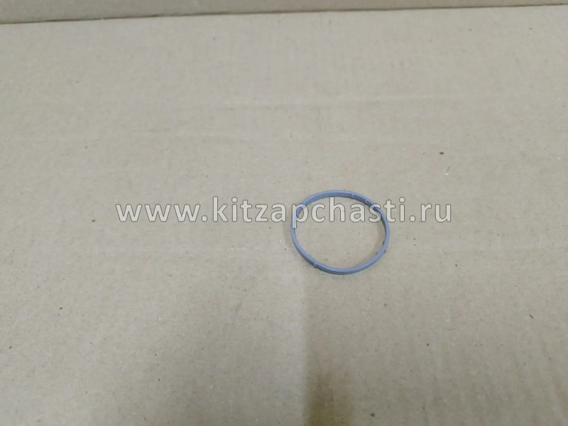 КОЛЬЦО УПЛОТНИТЕЛЬНОЕ НИЖНЕЕ ТЕРМОСТАТА Chery Tiggo FL, Vortex Tingo FL E4G16-1303131