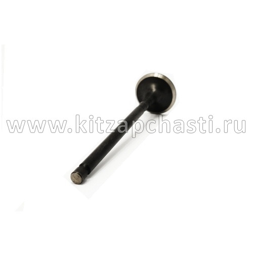 Клапан выпускной OMODA S5 GT E4T151007012CA