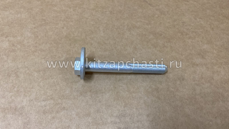 РЕГУЛИРОВОЧНЫЙ БОЛТ С ЭКСЦЕНТРИКОМ Chery Tiggo 7 Pro FQ140D12100TF62K