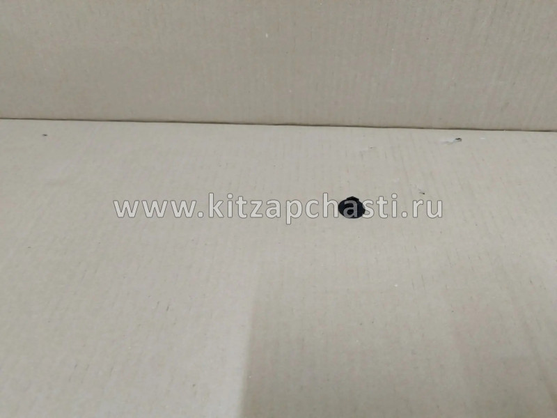 Пистон крепления подкрылка Chery Tiggo 7  Pro J60-3102031