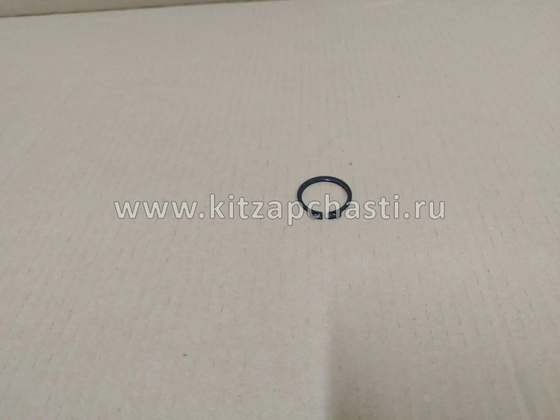 Кольцо упорное роликов первичного вала Baw Fenix 1065 Евро 3 LG305-1701135G