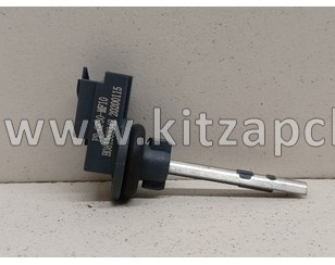 Датчик температуры окружающего воздуха EXEED TXL FL PPGF30MF10