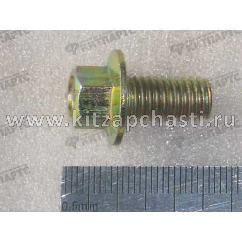 БОЛТ Chery Tiggo FL, Vortex Tingo FL Q1840816