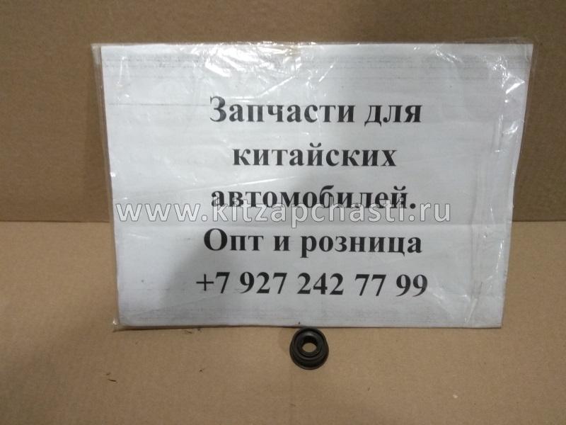 САЛЬНИК Chery Tiggo FL, Vortex Tingo FL QR523-1702402