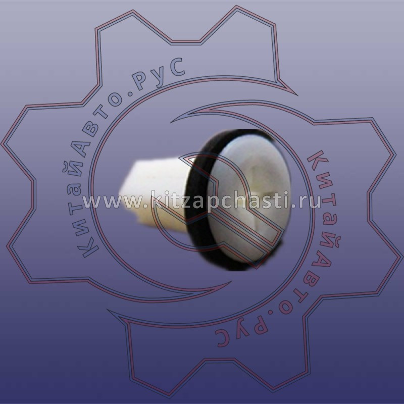 Пистон обшивки TENET T8 S116101091AB