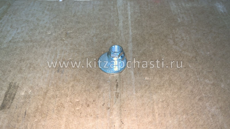 Гайка развальная Chery Tiggo, Vortex Tingo T11-2919031