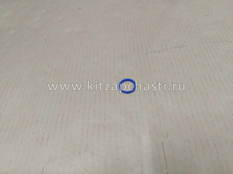 КОЛЬЦО ФОРСУНКИ ПРОСТАВОЧНОЕ FOTON 1069