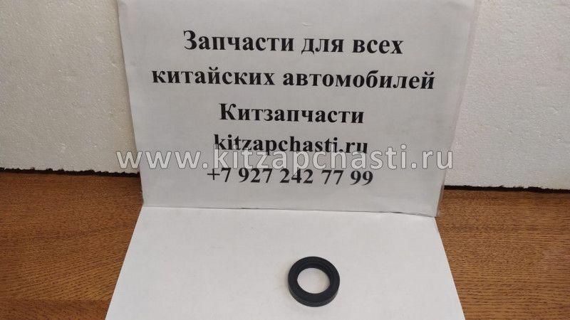 Сальник кпп первичного вала Baw Fenix 1065 (Е-2) X-1601320-00